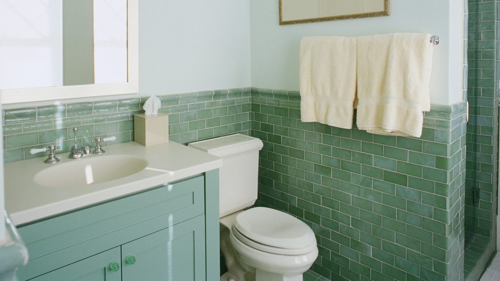 How-To-Get-Rid-of-Silverfish-in-a-Bathroom