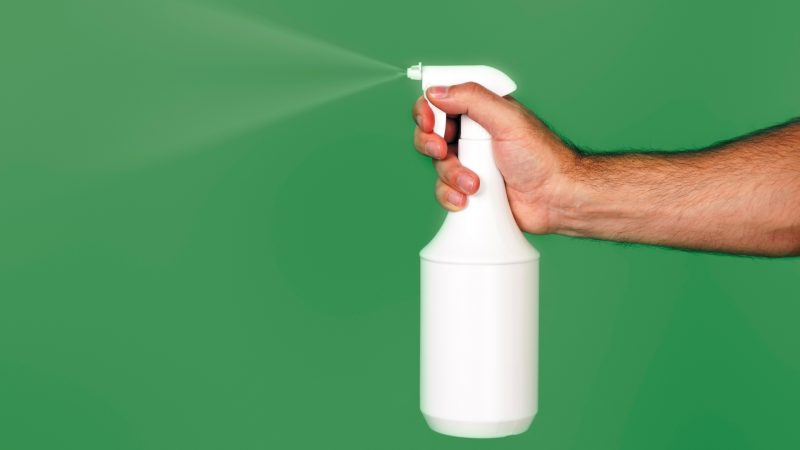 Spray Bleach on Areas With High Mice Activity