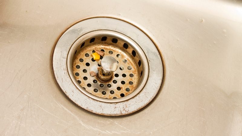 What Causes Drain Flies