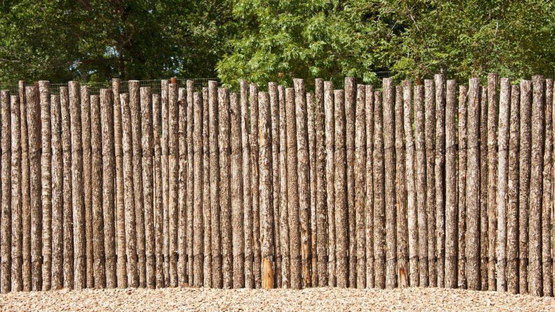 Best Fence To Keep Coyotes Out