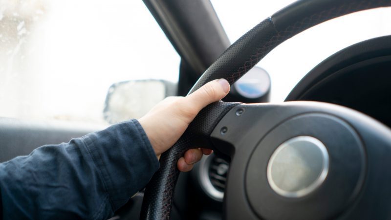 How To Get Skunk Smell Out of Car