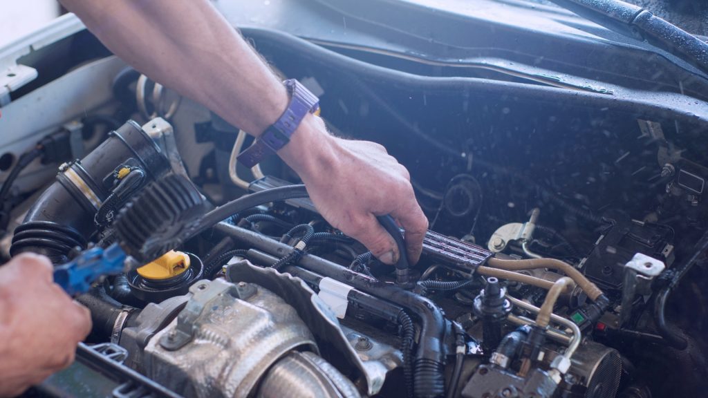 How To Keep Rabbits Out of Your Car Engine