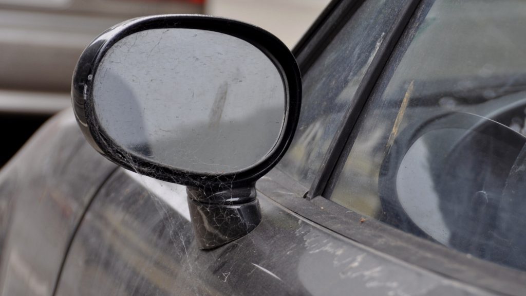 How to Get Rid of Spiders in Your Car Mirror.