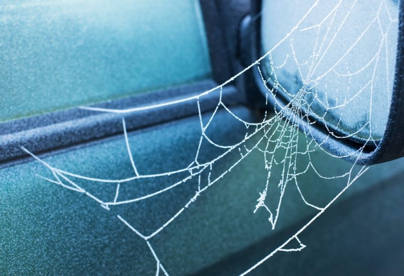 How to Get Rid of Spiders in Your Car.