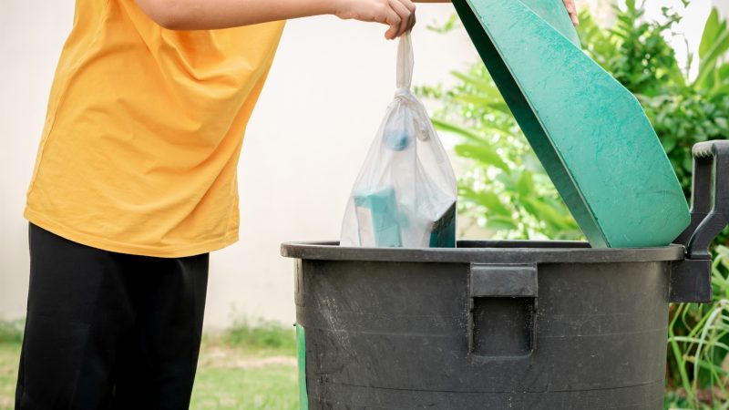 Place Into Plastic Bag and Dispose in Trash