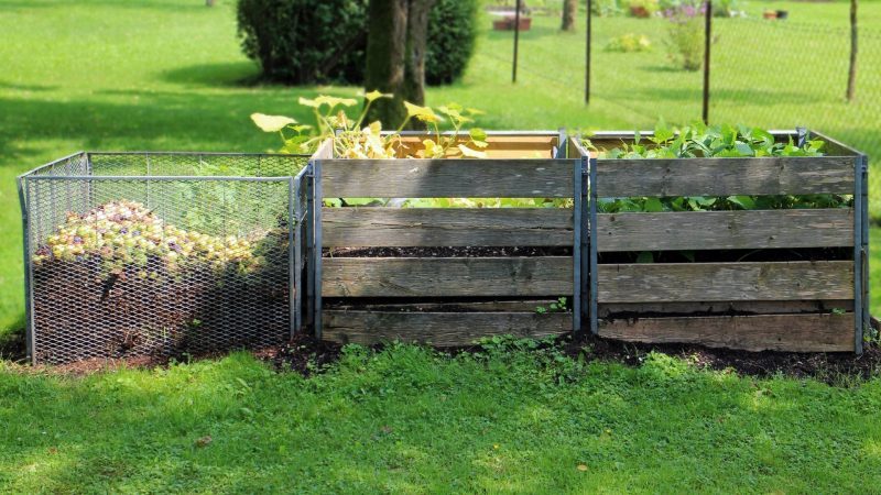 Ways to Keep Your Pets Away From Your Garden and Plants