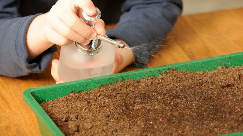 How to Kill Mites in Soil