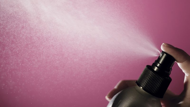Best Sprays to Kill Bed Bugs
