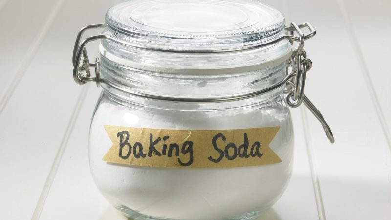 Does Baking Soda Eliminate Fleas
