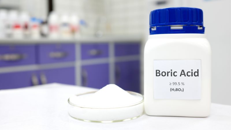 Does Boric Acid Kill Rats and Mice