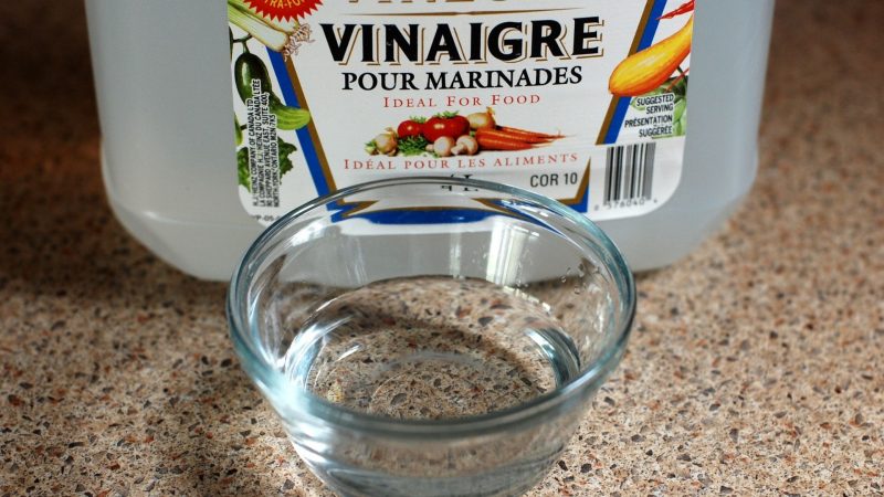 Does Vinegar Help Fire Ant Bites