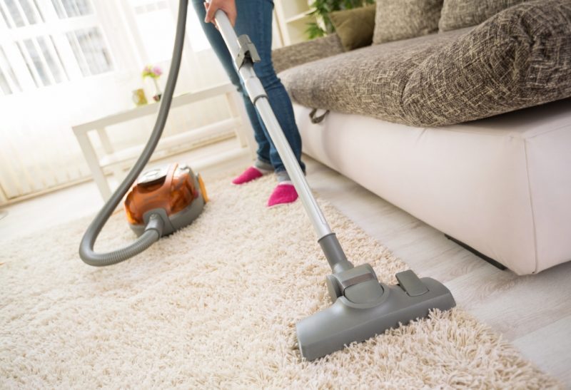 How to Get Rid of Fleas in Your Carpet