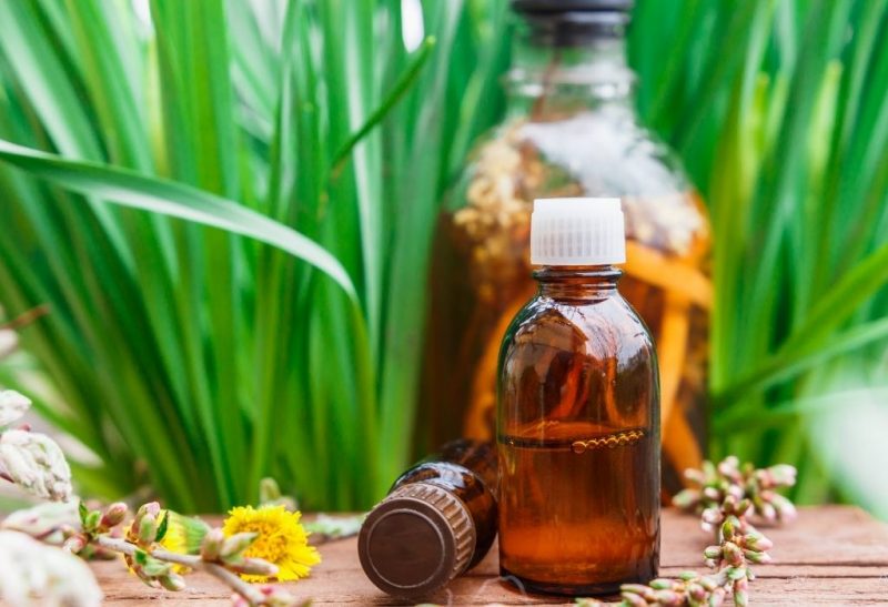 Is Citronella Essential Oil Safe For Dogs