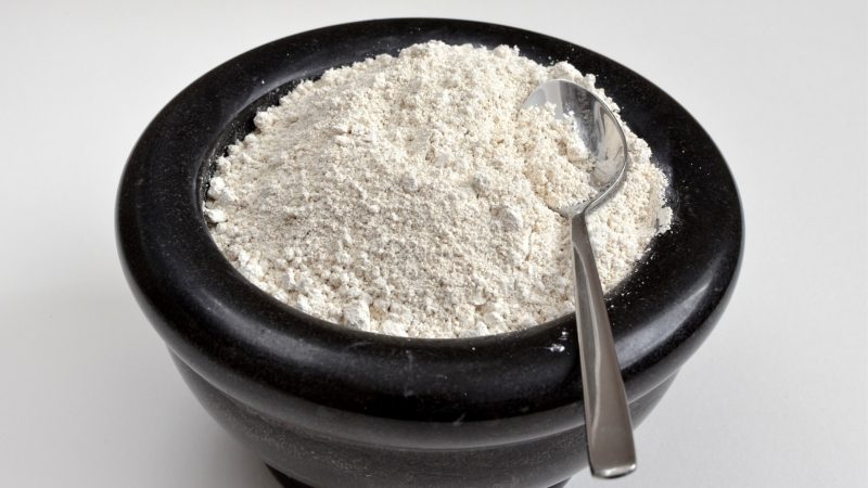 What Is Diatomaceous Earth