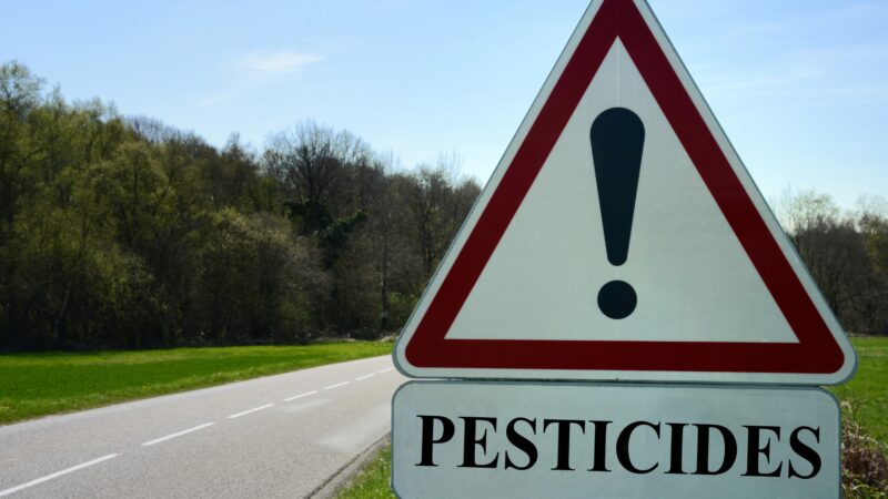 Can Pesticides Be Harmful to Pets