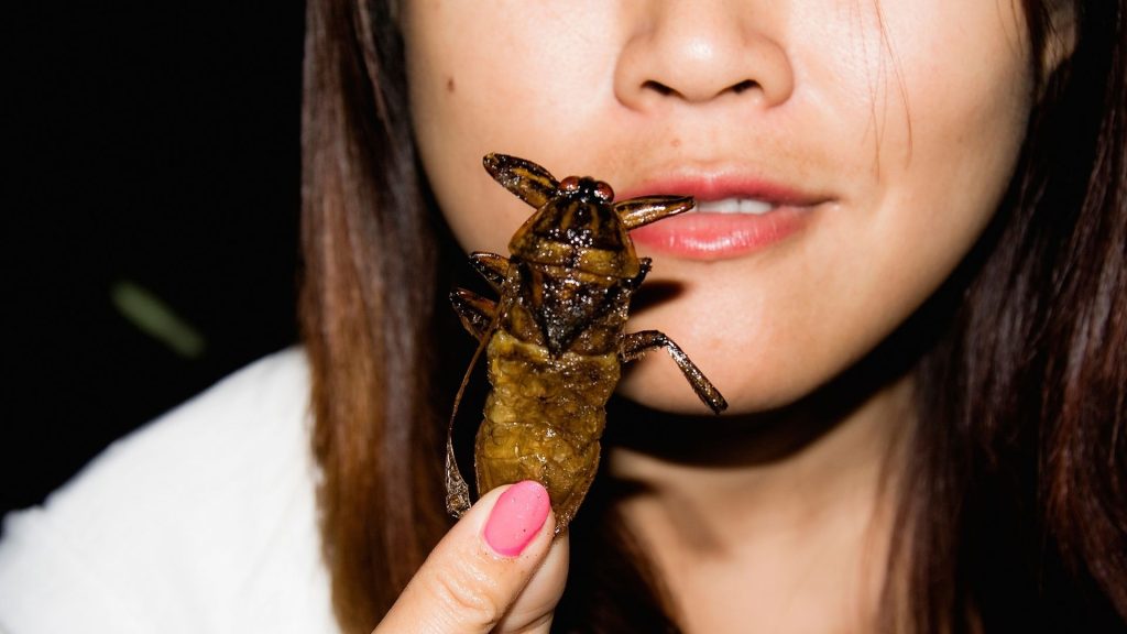 What Eats Cockroaches? | Cockroach Predators - Pest Samurai