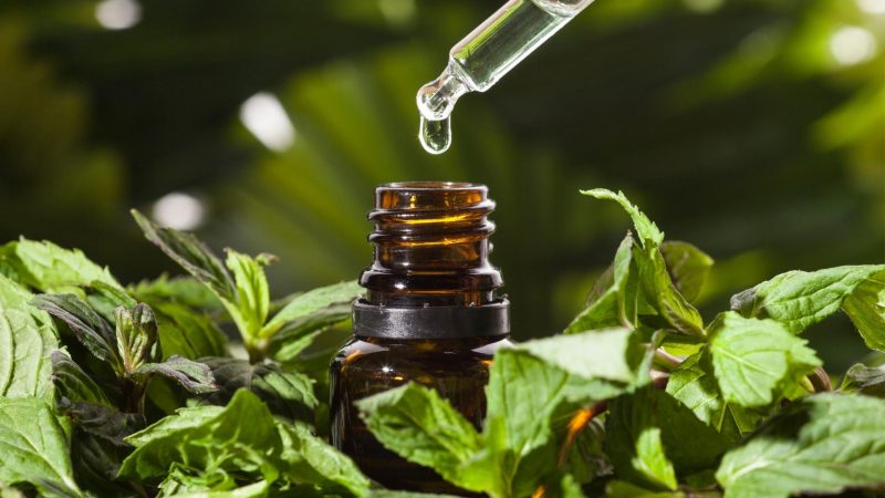 What Are Essential Oils