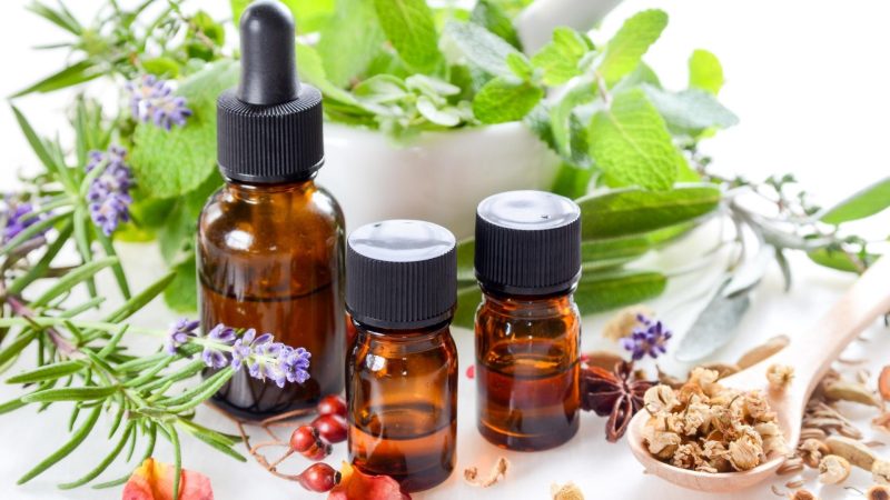 What Are the Best Essential Oils to Repel Bed Bugs