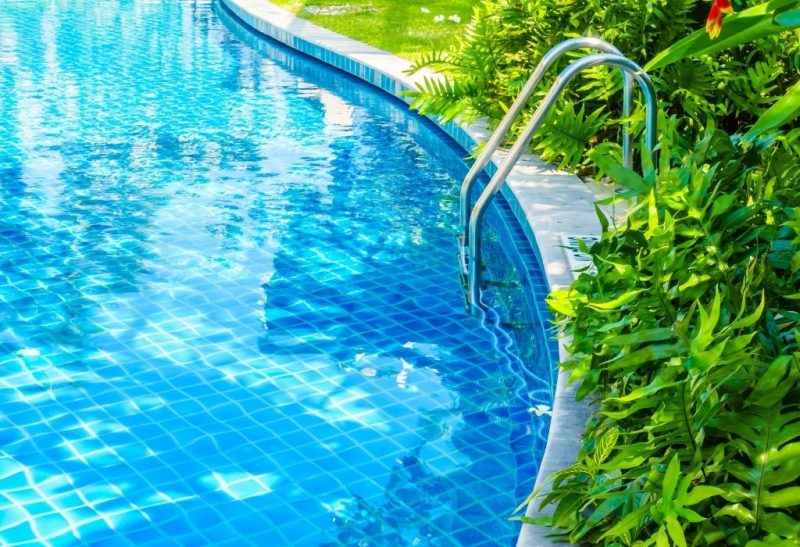 Types of Swimming Pool Bugs That Bite (And Don’t Bite) Information and Facts