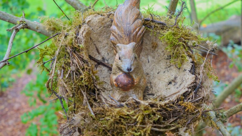 Do Squirrels Burrow or Nest in Trees