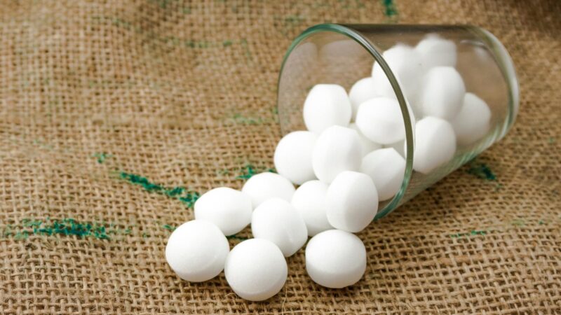 Is Mothball Harmful to Pets