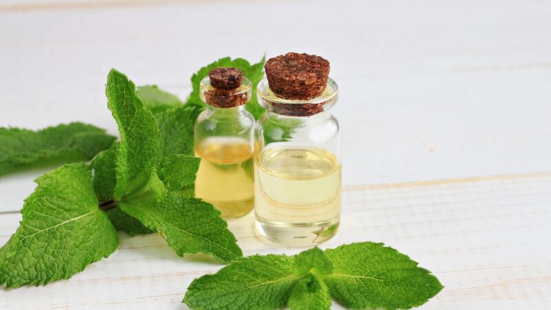 Does Peppermint Oil Keep Rats Away
