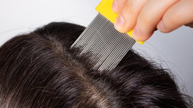 How to Clean Lice-Infested Brushes