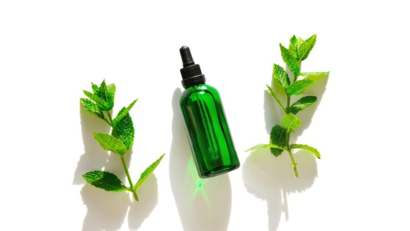 How Often Should You Spray Peppermint Oil for Mice