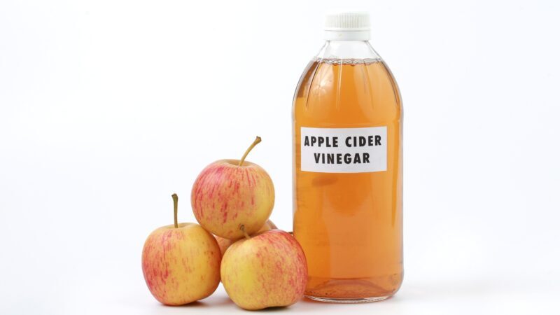 Which Works Better to Repel Fleas, White Vinegar or Apple Cider Vinegar