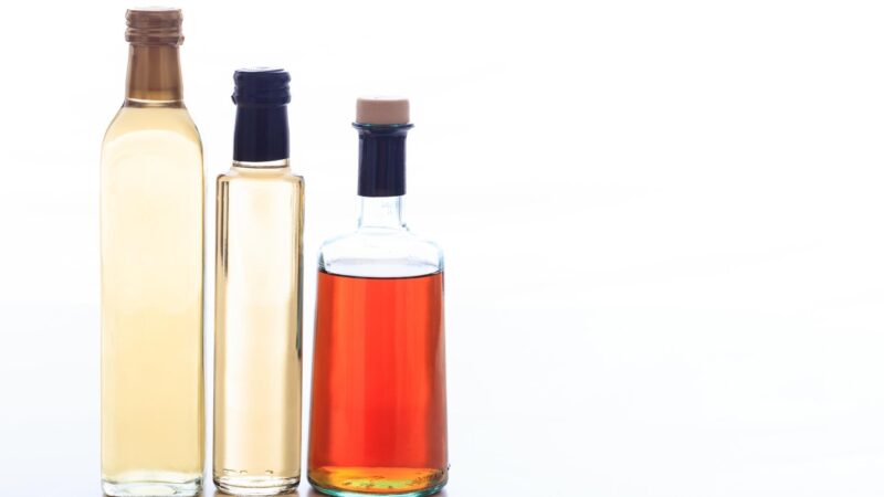 Why Does Vinegar Kill Fleas