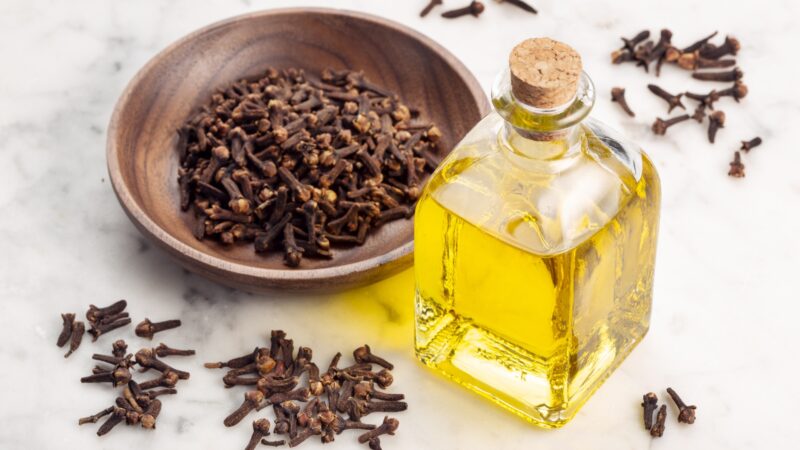 Clove Oil