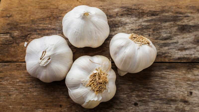 Garlic