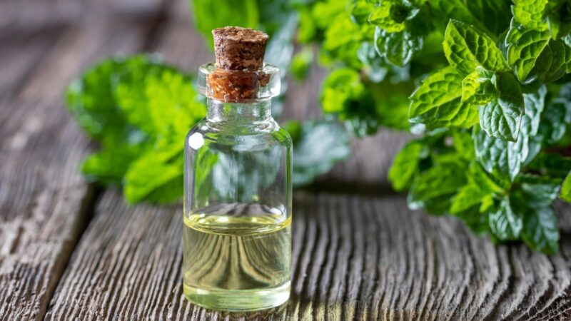 Peppermint Oil