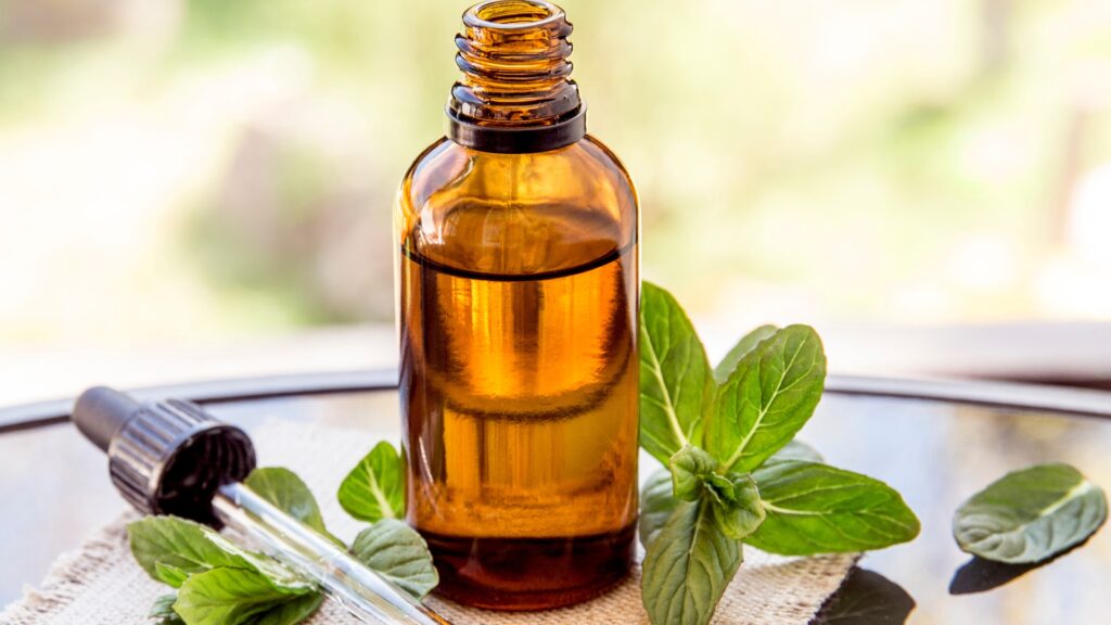 Does Peppermint Oil Repel Mice