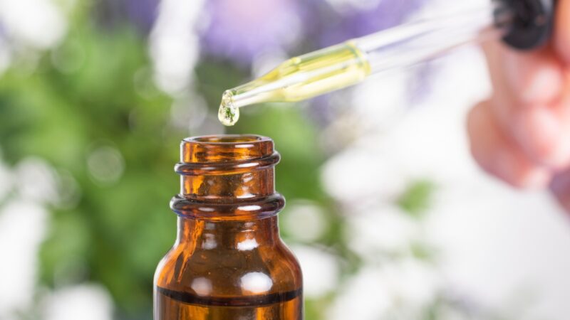 Essential Oils That Can Get Rid of Gnats and Fruit Flies