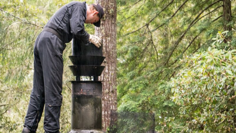 How to Get Rid of Chimney Swift Birds