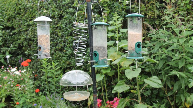 Put a Dome or Cage on the Feeder