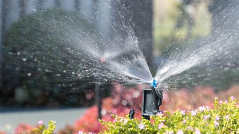 Use Motion-Sensor Sprinklers