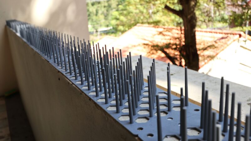 Installation of Spikes