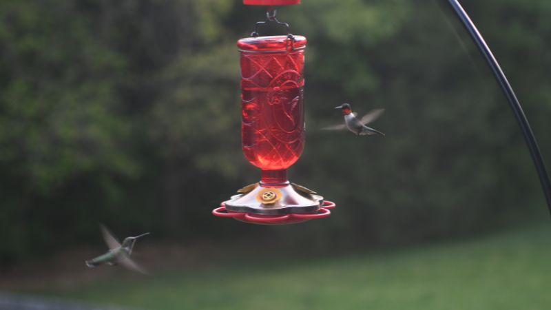 Hummingbird Feeder