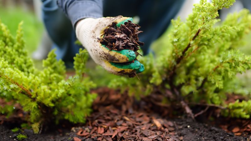 Mulch