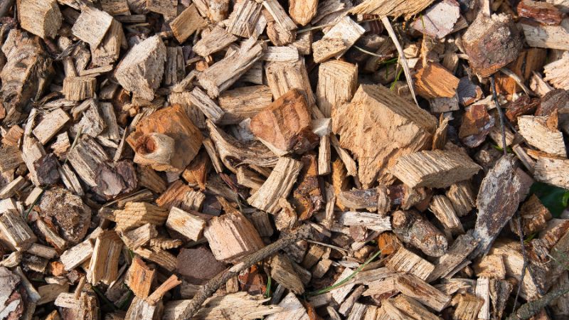 Wood Chips